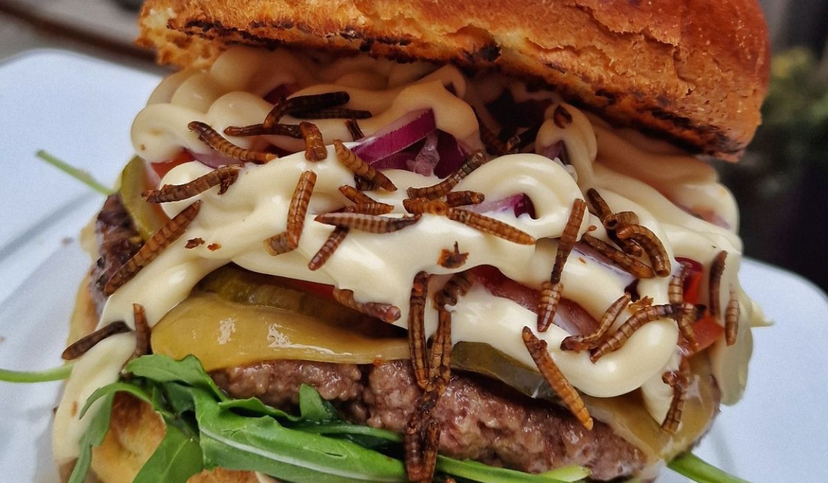 burger z jadalnymi robakami - Pyszności; foto: 7 Street - Bar & Grill