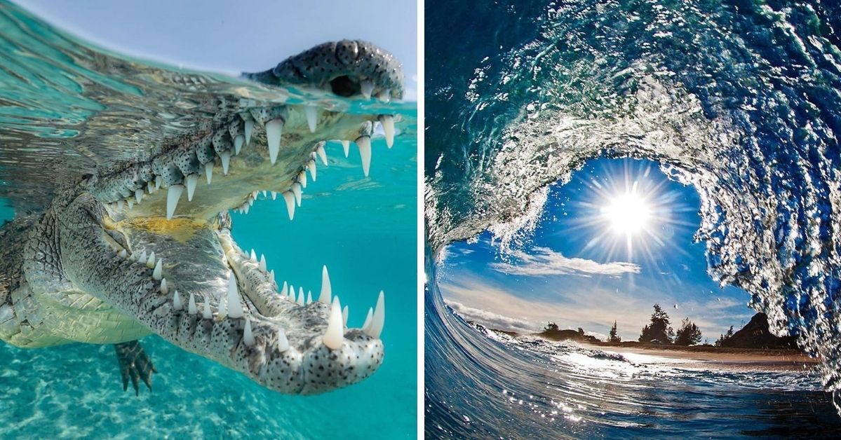 33 Amazing Ocean Photos Showing the Beauty and Force of Water