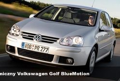Ekonomiczny Volkswagen Golf BlueMotion