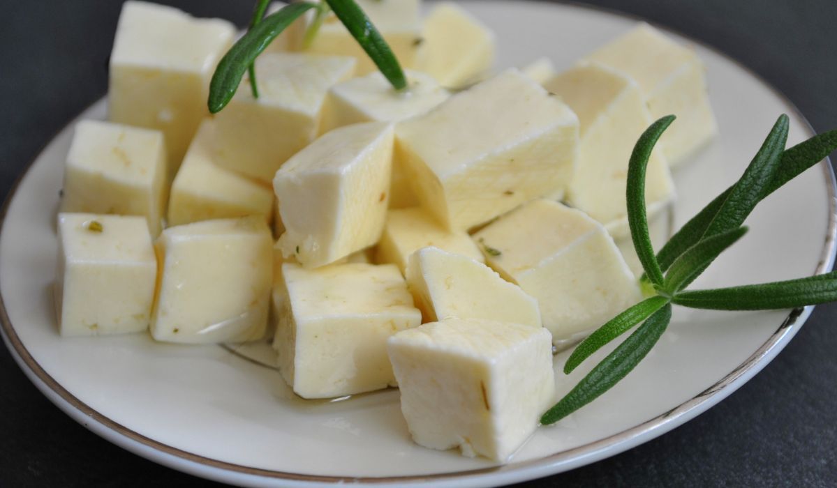 Bundz, zdrowy ser z polskich gór - Pyszności; foto: Adobe Stock