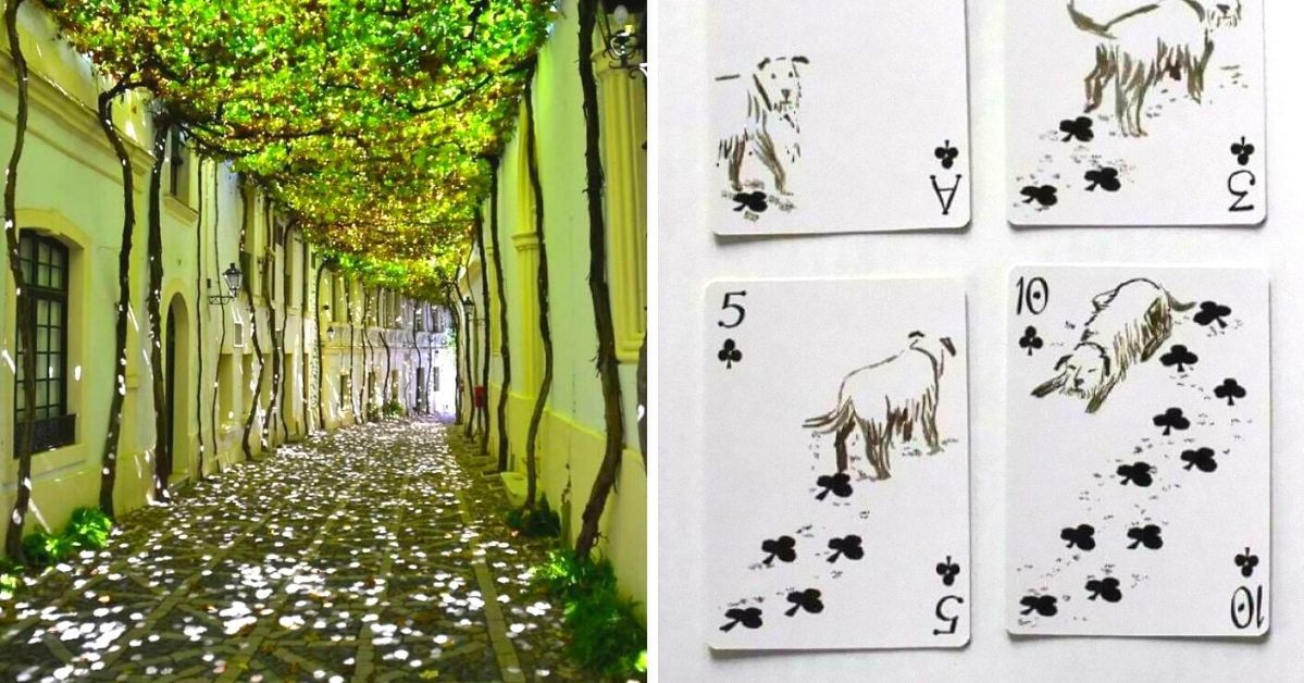 17 Examples of Design You'll Fall in Love With