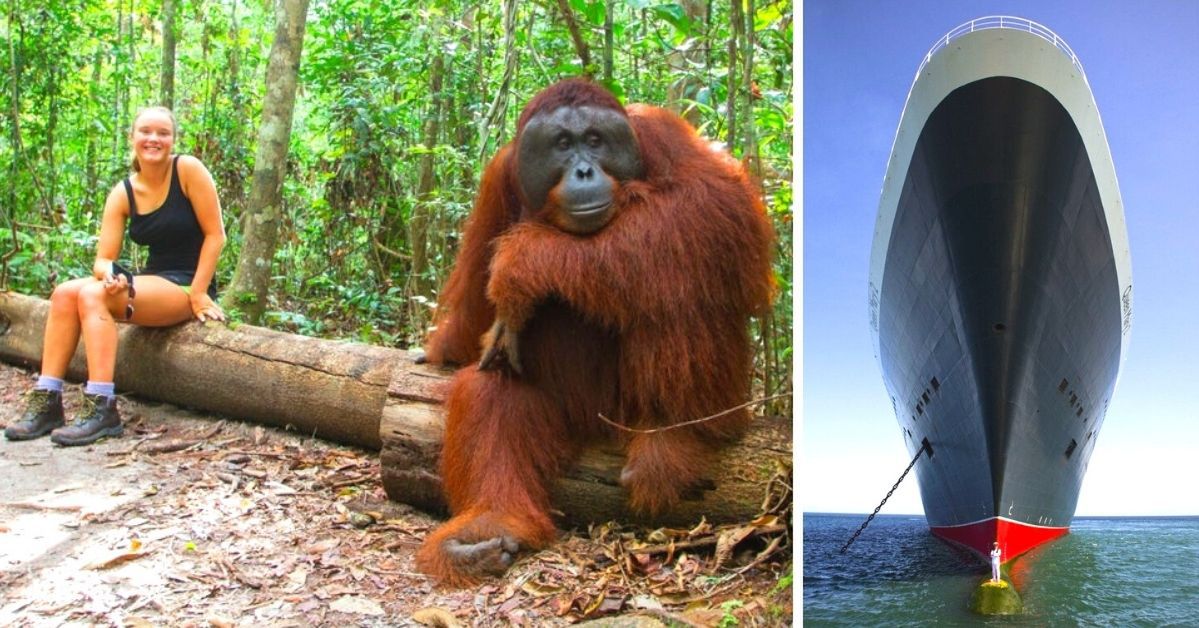 23 Amazing Photos Showing Extraordinary Size Comparisons