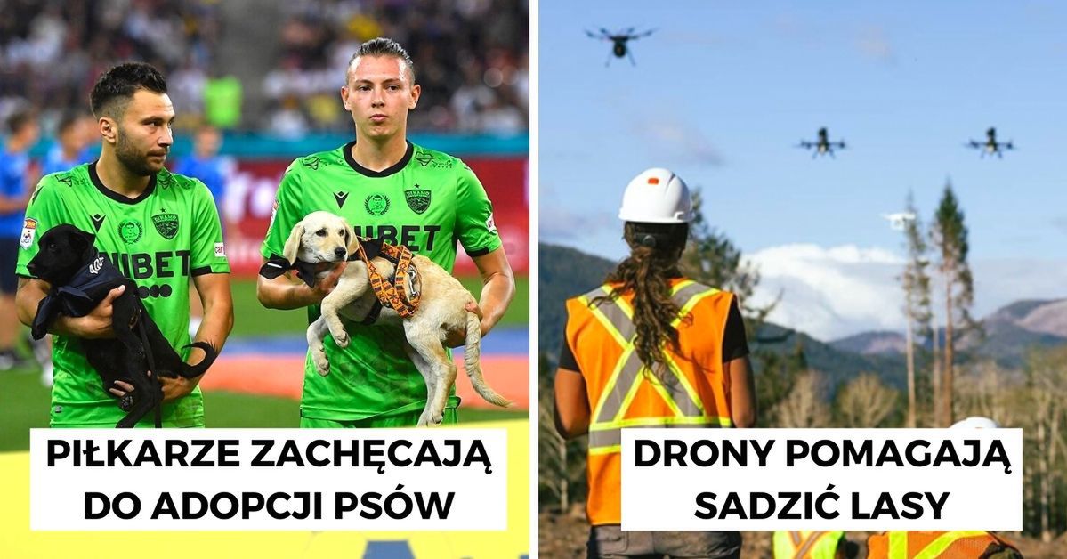 11 pozytywnych informacji, które sprawią, że odzyskasz wiarę w ludzi. Idealne na Nowy Rok