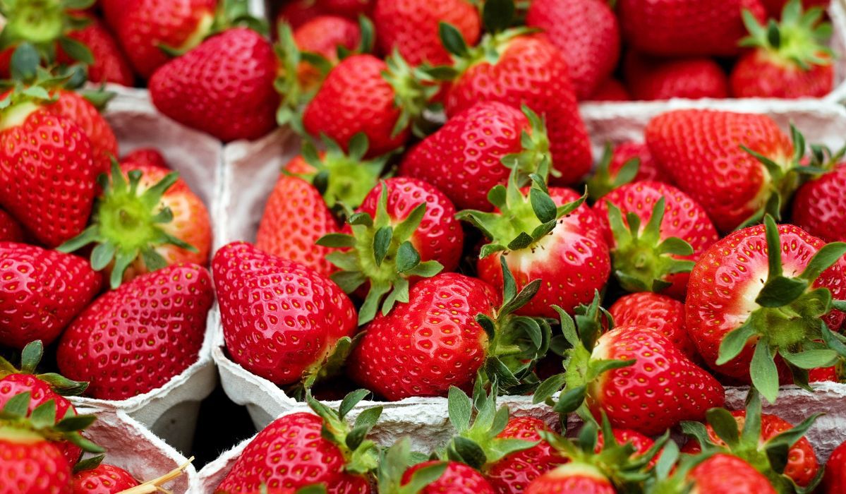 Jedz codziennie, a szybko zauważysz różnicę. Zdziwisz się, jak dużą