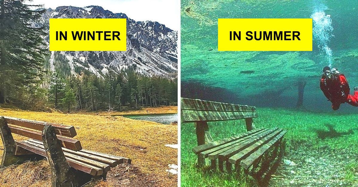 This Austrian Lake in Summer Becomes a Diver’s Paradise