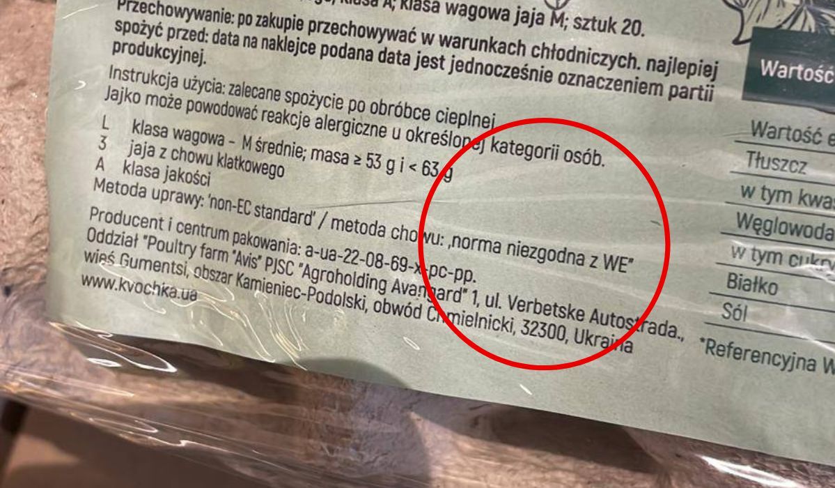 Jajka z Ukrainy w polskich sklepach. Jedna z sieci wprowadziła je, mimo "niezgodnej normy"