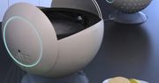 Blitz - laserowy robot kuchenny z Rosji