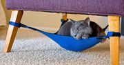 Cat Crib - hamak dla kota