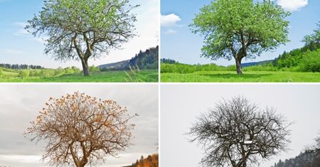 Top 10 - najlepsze stacje pogodowe