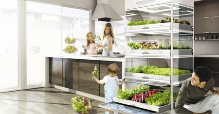 Nano Garden – ogród w kuchni