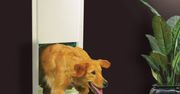High Tech Pet - "inteligentne" drzwi dla psa