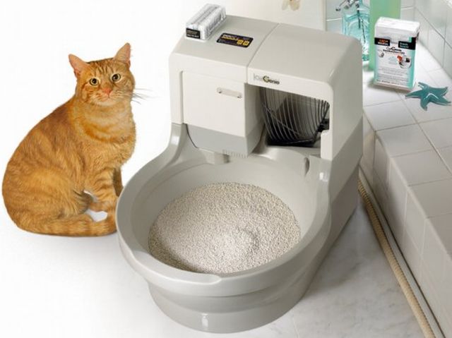 CatGenie - automatycznie posprząta po twoim kocie