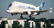 Podniebny gigant jeszcze większy. Nowa odsłona Airbusa Beluga