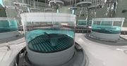 Technologiczny przełom. Samoloty nie będą już budowane - będą hodowane jak rośliny