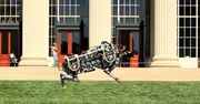 Tak prezentuje się mechaniczny gepard z MIT