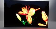 CES 2013: Telewizyjne nowinki Samsunga - materiały wideo