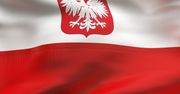Znieważanie flagi w internecie