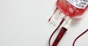 Komputer zasilany "elektroniczną krwią"