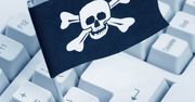 Tak w USA będą walczyć z piratami. Straszne?