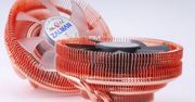 Nowe chłodzenie Zalman CNPS8900