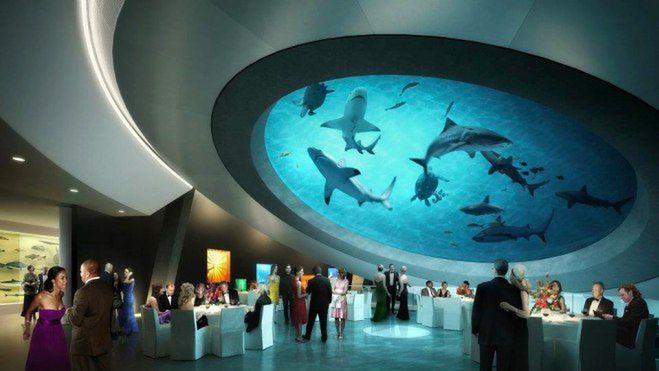 Rekiny w muzealnym atrium