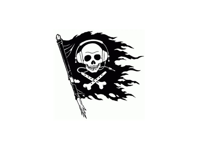 Partia Piratów w niemieckim parlamencie!