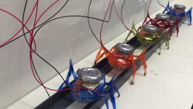 Miniaturowe roboty-mrówki są w stanie... ukraść dwutonowy samochód!