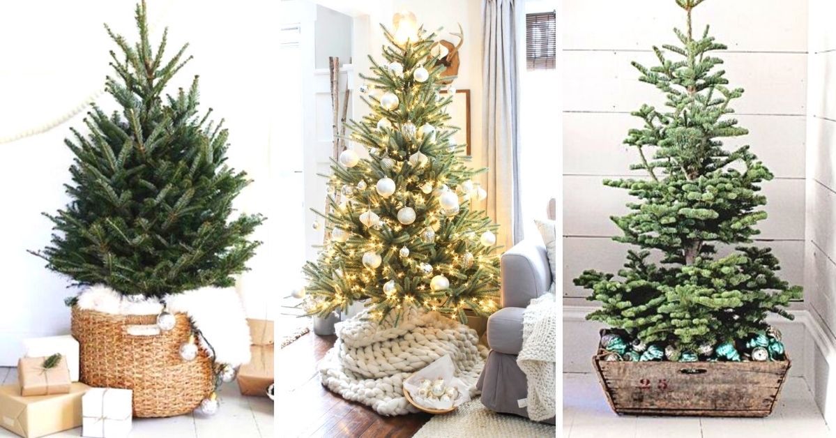 16 Stylish Christmas Tree Stand Ideas! Easy to Find Objects Which Can Be Used Instead of a Traditional Stand