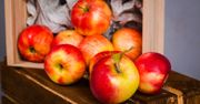 Bez znajomości tych zasad, jabłka błyskawicznie zgniją. Lepiej o nich nie zapominać