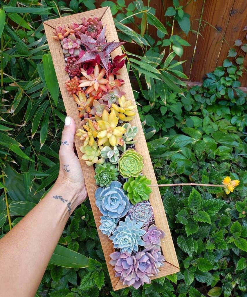 jenssuccs/instagram