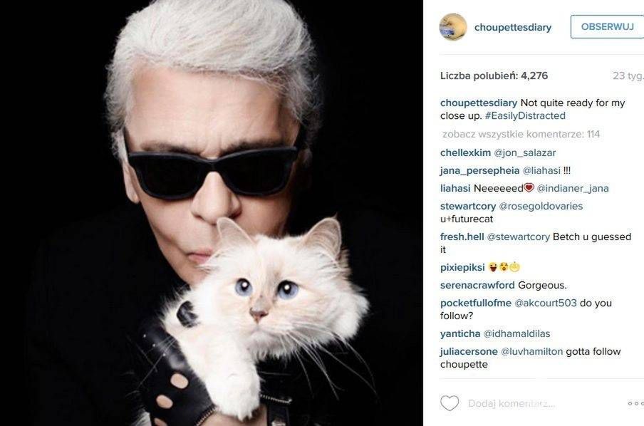 Karl Lagerfeld i jego kotka Choupette (fot. Instagram)