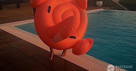 Kolejna gwiazda pozuje ze słynnym, różowym flamingiem