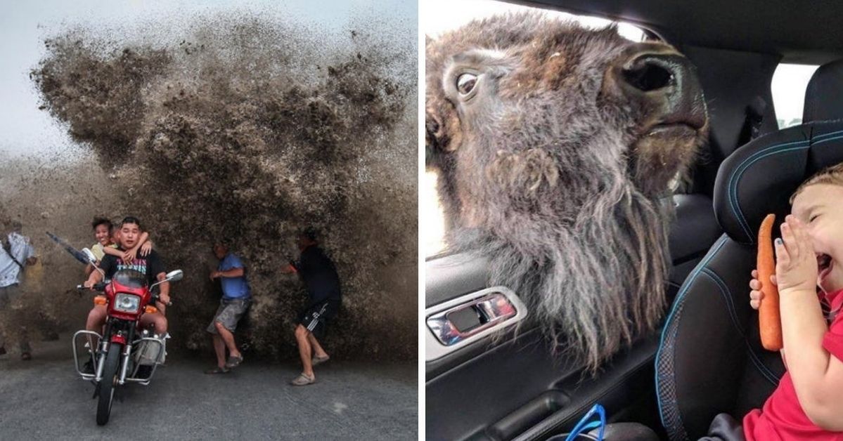 19 Unexpected Photos With Perfect Moments Caught in Frame Just on Time!