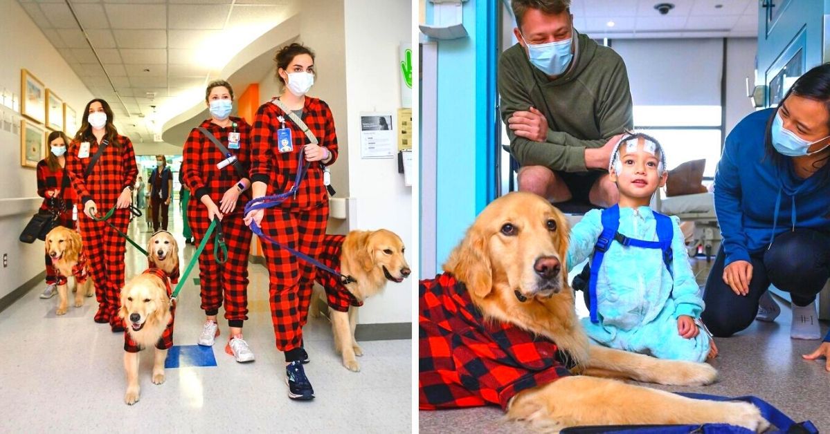 A Team of Dogs in Pajamas Visited Chronically Sick Children in the Hospital