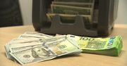 “Słaby złoty jest czerwoną lampką”. Polska waluta najsłabsza od lat