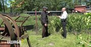 Ich dorobek życia zostanie zrównany z ziemią. “Mówią, żeby brać kredyty. Po 50-tce?”