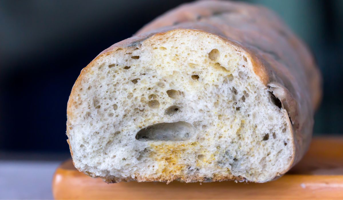 Nie zauważyłeś, że chleb był spleśniały? Sprawdź, co się stanie po jego zjedzeniu