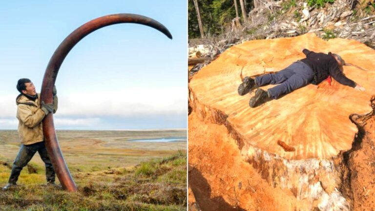 19 Fantastic Photos That Will Surprise Even the Smartest. They Prove That Size Does Matter!