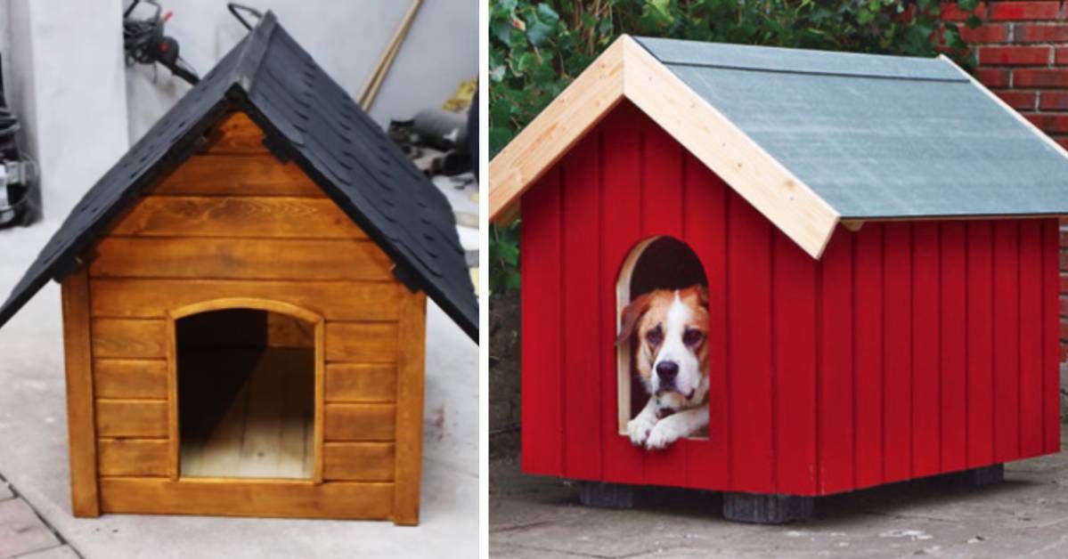 An Easy Way to Make a DIY Dog Kennel