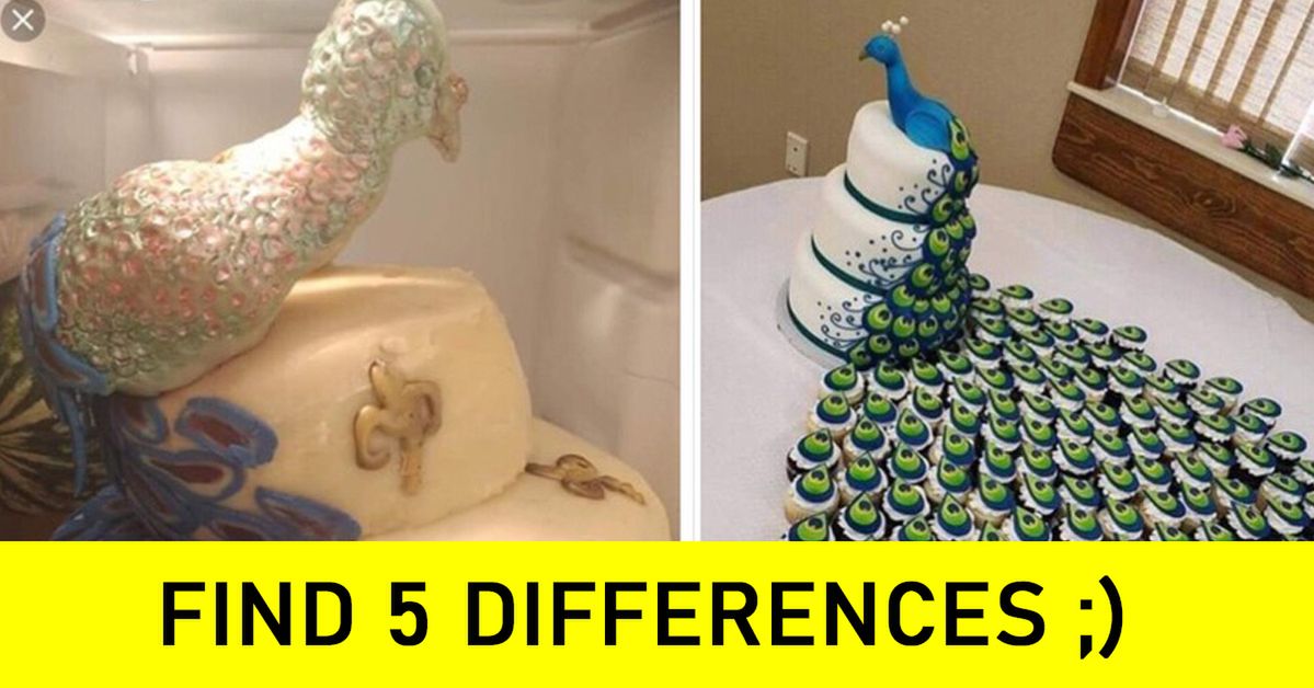 Expectations vs Reality. 17 Cakes That Will Make You Laugh out Loud