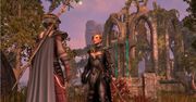 Nie macie dość gier MMO w realiach fantasy? The Elder Scrolls: Online - wszystko czego udało się dowiedzieć o nowym projekcie ze świata Nirn