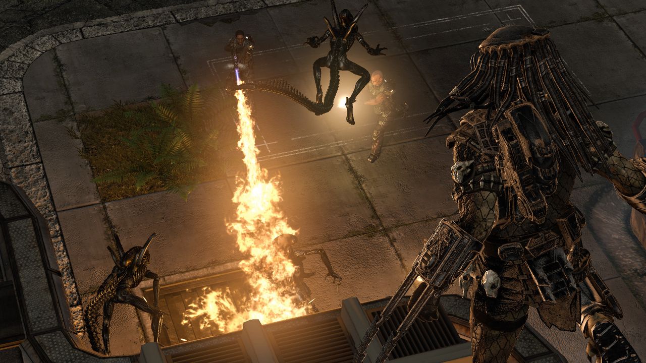 Rebellion: AvP sukcesem, chcemy sequela