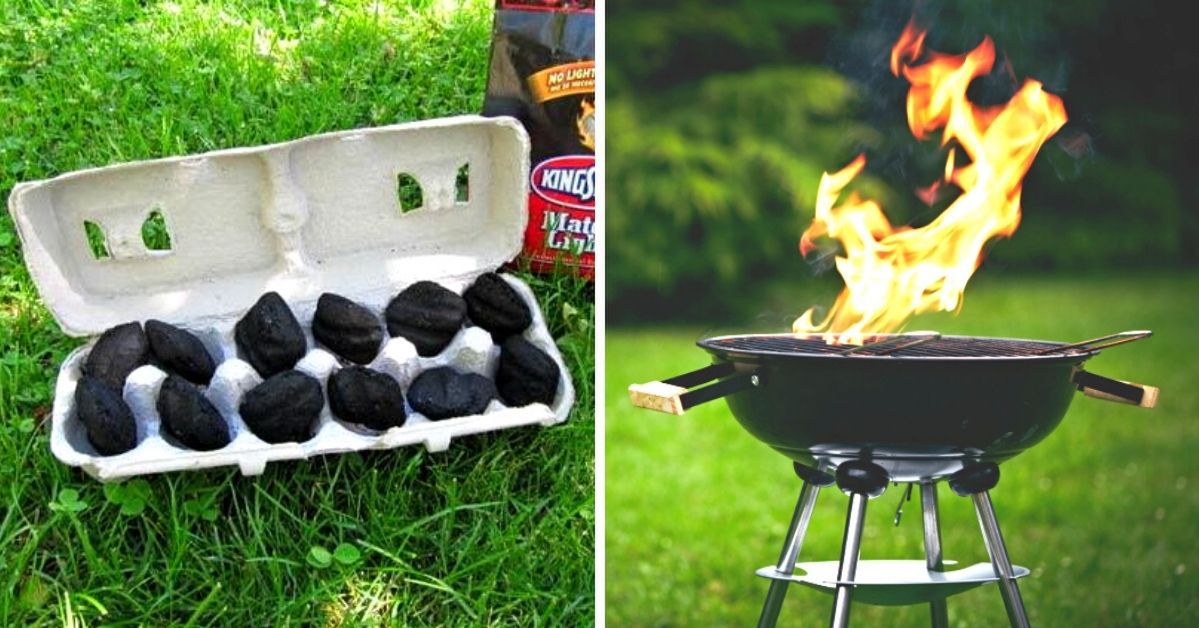When Setting up the BBQ, Have an Egg Carton With You. Your Guests Will Thank You for It