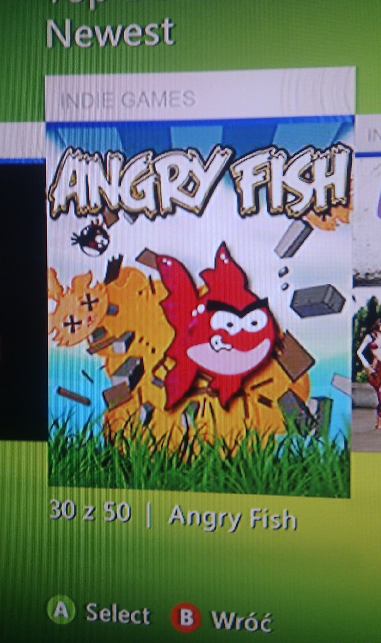 Krótka piłka: Angry Fish