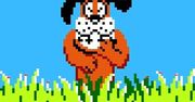 Tajemnice Duck Hunt odkryte