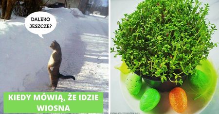 16 nieuchronnych oznak, że czujesz już wiosnę na plecach. Ile już odhaczyłeś?