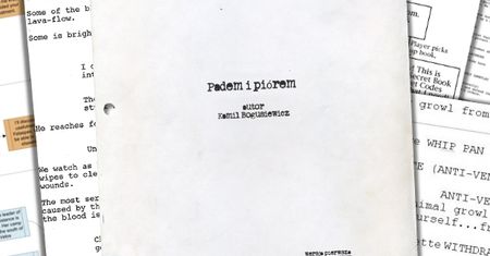Padem i piórem - o scenariuszach w grach