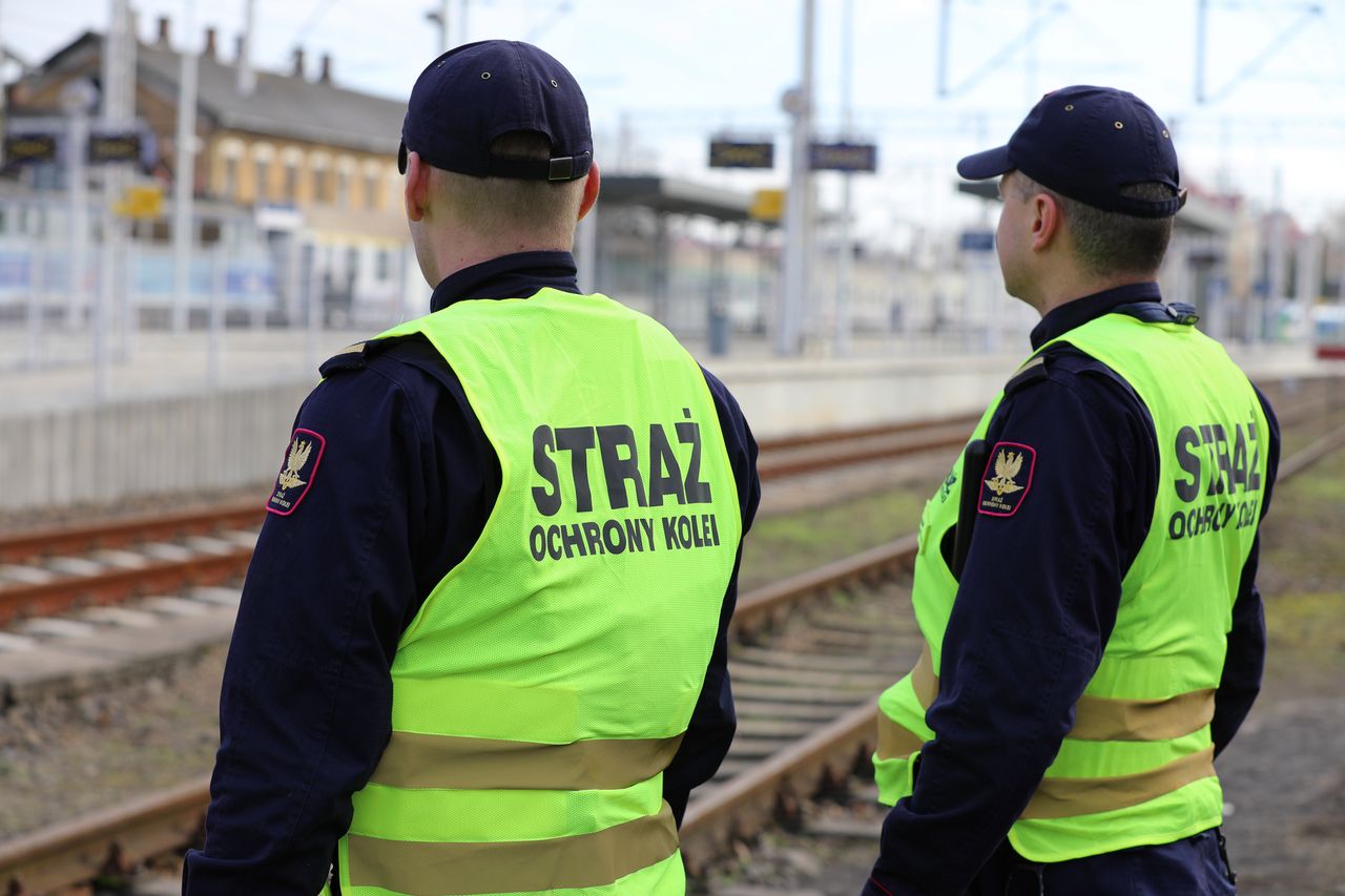 Zażywali i posiadali narkotyki – zostali ujęci przez funkcjonariuszy Straży Ochrony Kolei