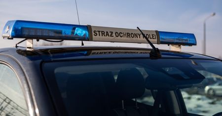 Funkcjonariusze SOK zatrzymali dwóch mężczyzn za dewastację i zakłócanie porządku