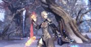 Blade & Soul to kwintesencja chińskich baśni, opowieści i filmów o mistrzach zapomnianych sztuk walki. Premiera na zachodzie jeszcze tej zimy